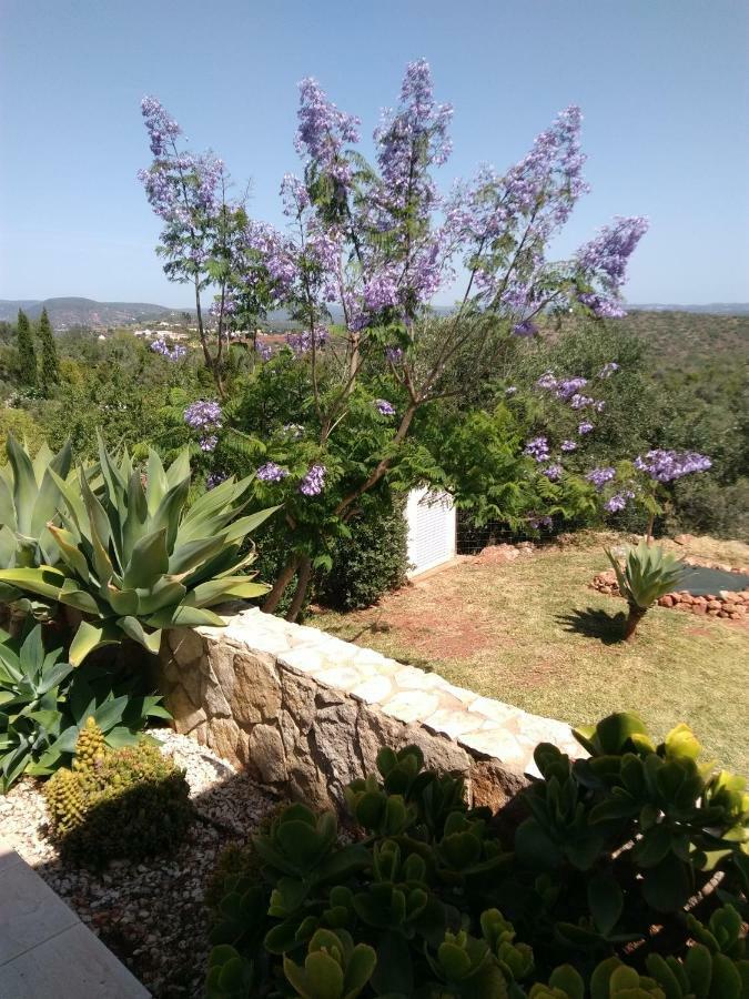 Casa Do Monte Villa Silves Dış mekan fotoğraf